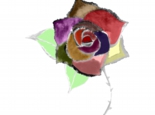 A-FLOWER-四角形.jpg